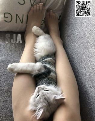 日月凌空下载_蓝光在线视频播放