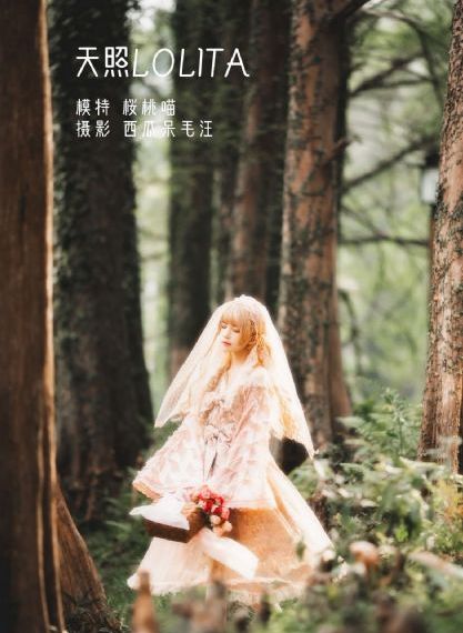 平凡英雄免费观看完整版_普通话在线观看