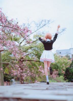 电视剧平凡的世界免费观看完整版_超清超清免费观看