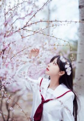 与狼共舞第一部完整版免费观看_BD免费全集观看
